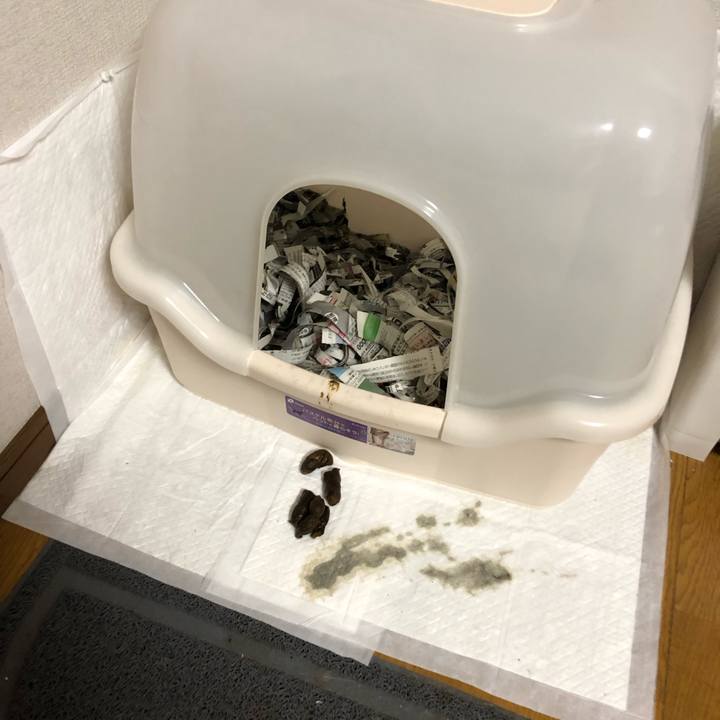 88fca2b0 4a65 4dc4 adc0 a14927783fb5 1598615854318