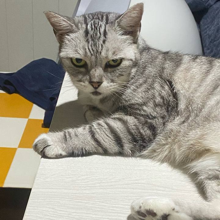 88fcbbe2 4797 459b bc50 0f2d9228a16e 1758059601522