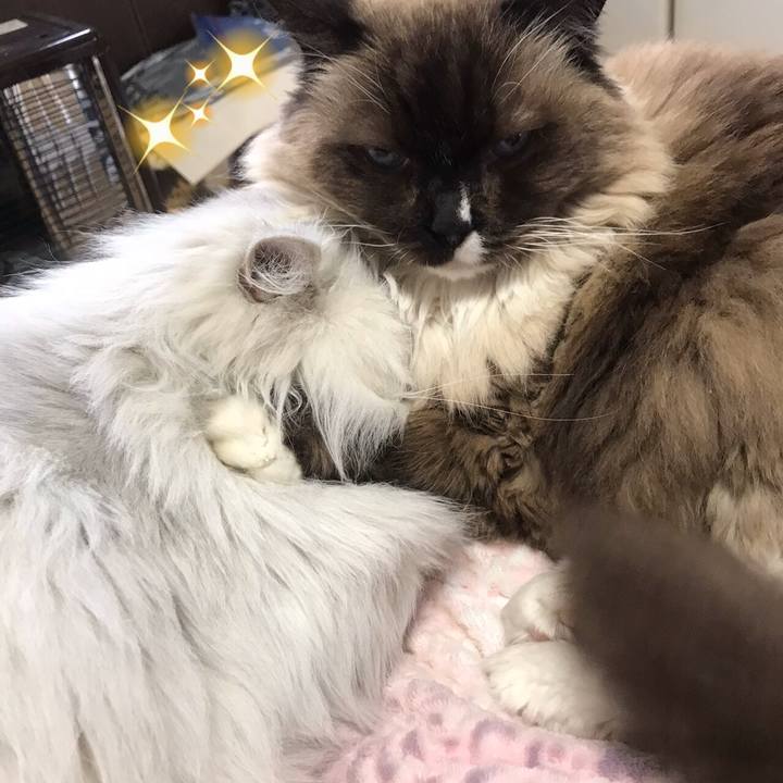 88fccaa7 d228 4f46 819b ee53d122e296 1583237570294