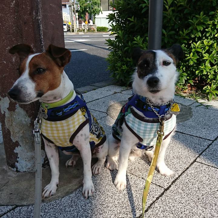 88fce98d 381d 47cb 9d2d 9cbc8b498d81 1560377661636