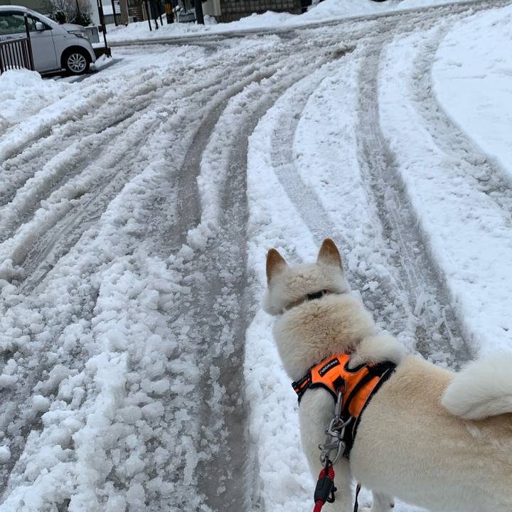 88fcee51 a2bc 4a16 b93c 73d1bfab5da0 1637976585949