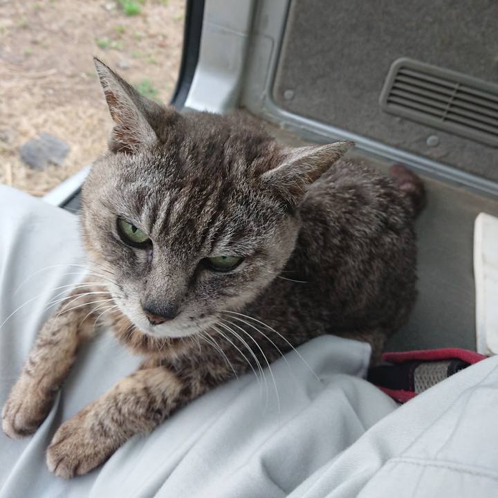 88fd0ef2 ed78 4fd7 a28c db9419563a7d 1592817797993