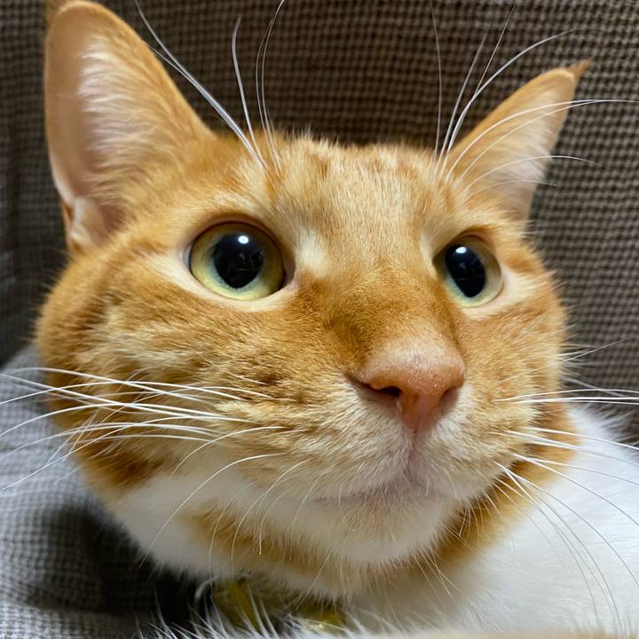 88fd1012 1798 4086 ae26 09b0bdc9464a 1610162731862