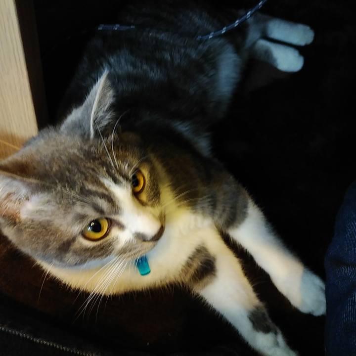 88fd3339 6bf1 4745 a489 d40a0922e5cd 1575946782230