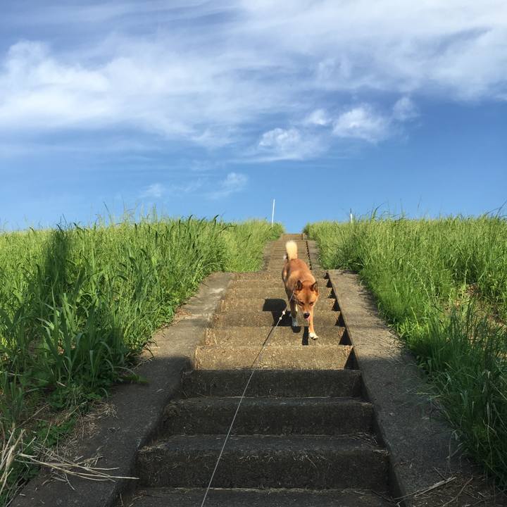 88fd71bd d74f 4a2c a4cd 9c8bf0a58c6b 1528065469786