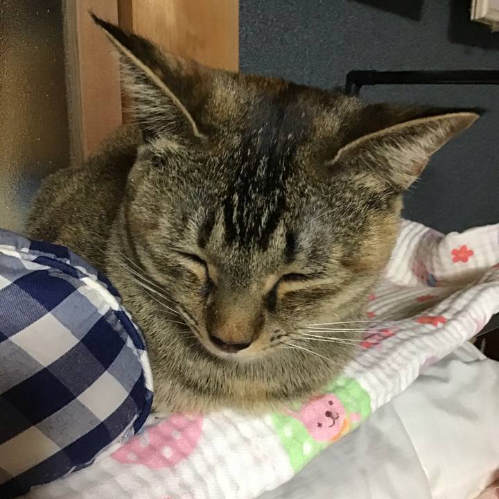 88fd8450 e9f0 4f6d a883 cd7fa4cc3fb2 1578822962845