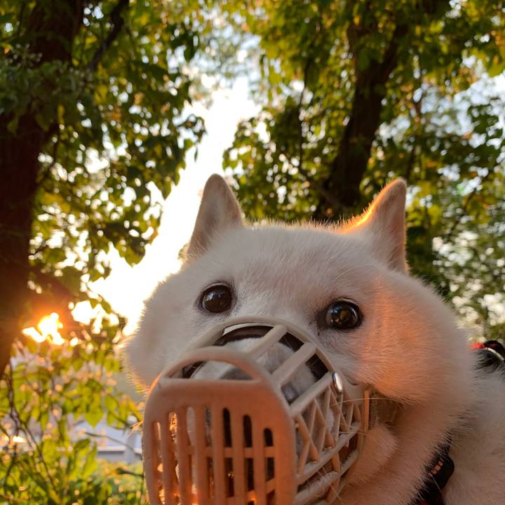 88fd9d1b ddd2 4b57 8407 090e4f789f5a 1656878764144