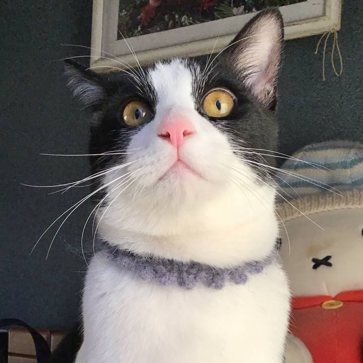 88fda2fa 2957 47b4 9834 d77e7cd5600c 1642405625966