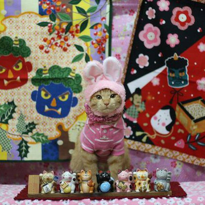 88fdd32e e83d 49e3 9628 358ab599b35f 1548595039681