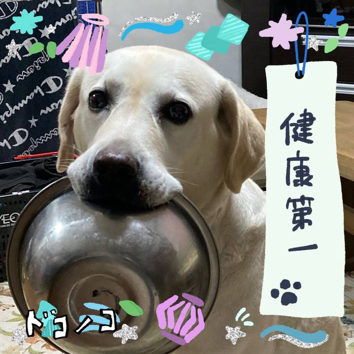 88fe1ad1 60f0 4e8e b7ec fc8ff66e5d0b 1721256250266