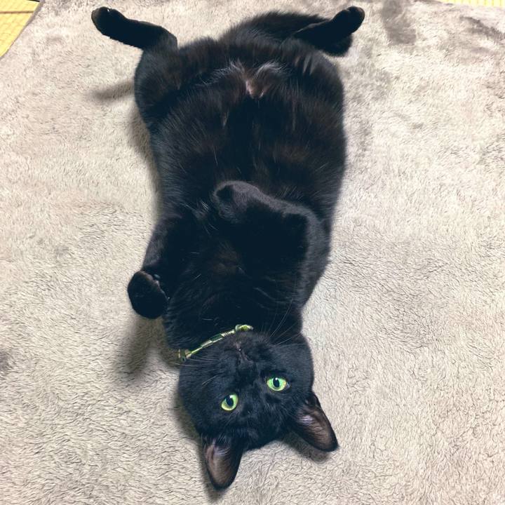 88fe26d9 7c52 4ca7 a118 ef929e316856 1554469295619