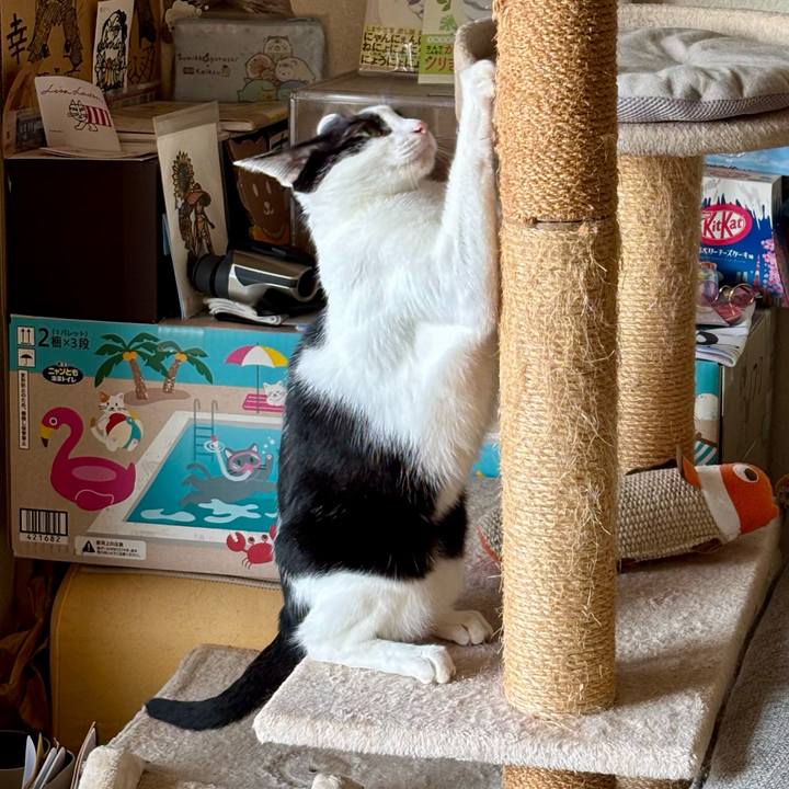 88fe4d31 adf5 4b93 909b e6713f8bd7cd 1756827562001