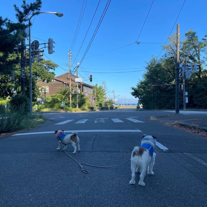 88fe89d3 f96c 425c 846b abc17c541cb4 1692921469538