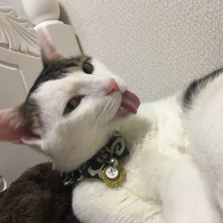 88fe8ca3 835e 479b a074 f73d9eaa8292 1512735395190