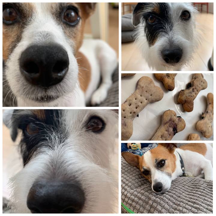 88ff24a6 2c2b 4e41 aade f6fffb64eb84 1566354004226