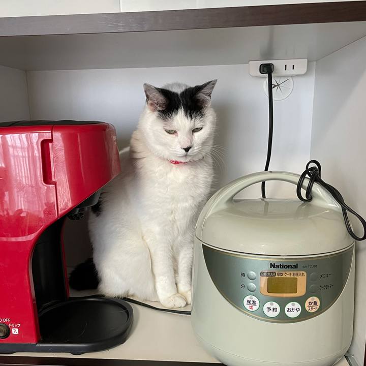 88ff4590 c4c0 443a ac52 55abab4a07dc 1611274538611