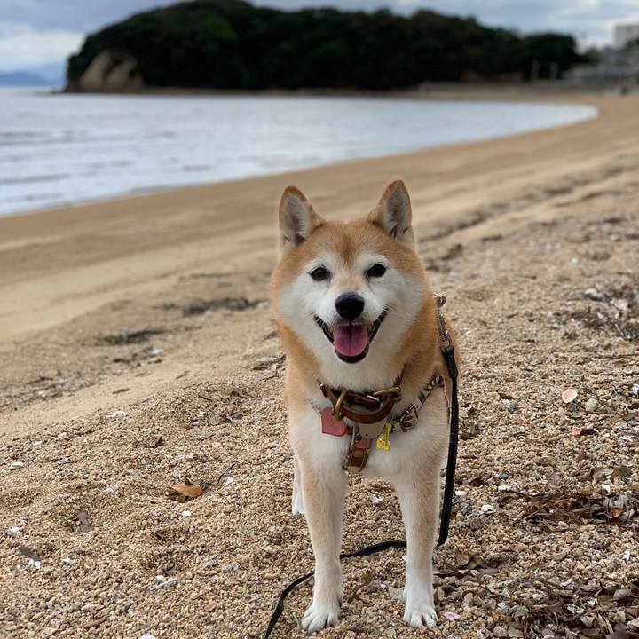 88ff5301 9bd5 41d4 8854 ad48806151e7 1665227901976