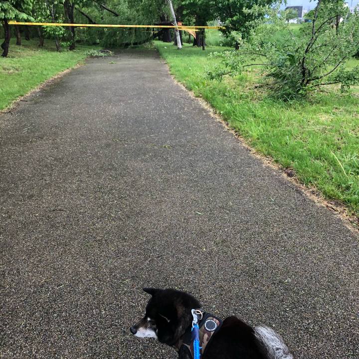 88ff6c7c 6520 4a34 a8f6 60c3b35c8ff1 1622884198413