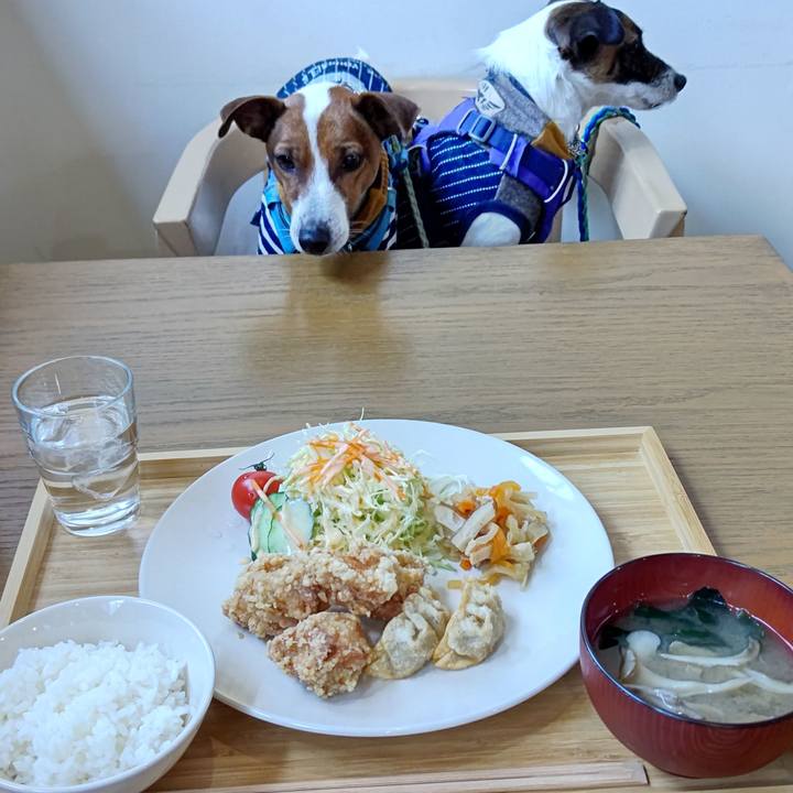 88ff8a6e 2d72 4554 bfb9 183fc2df14cf 1644123992705