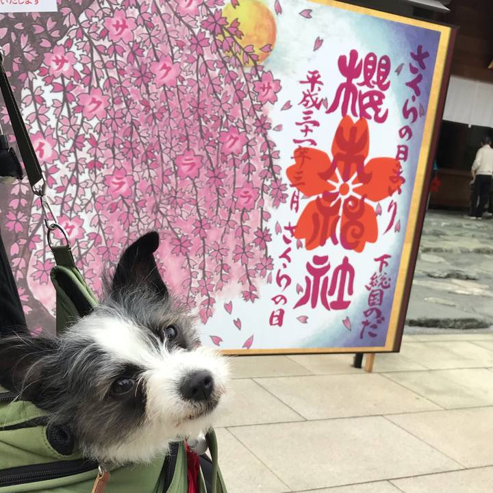 88ff9169 e8c0 4130 aef3 51f9bc5fbeb7 1554643855315