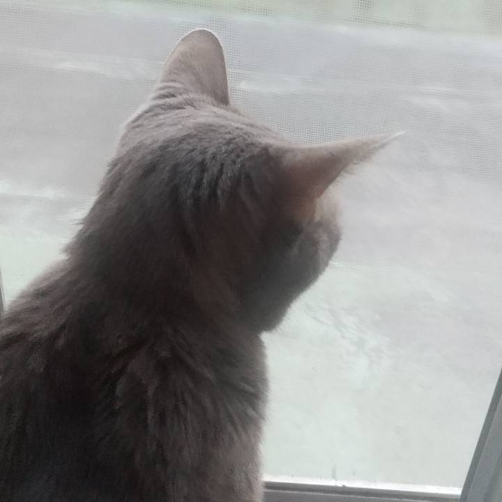 88ffb57f 1fae 46bd 840a 0b39d184166f 1697874115805