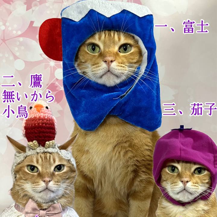 88fff349 6151 4c2f 9a13 4a109241fd80 1735722339814