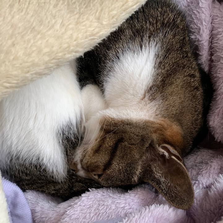 89002a29 95af 44e8 8eba 54676cbc42bd 1552351398537