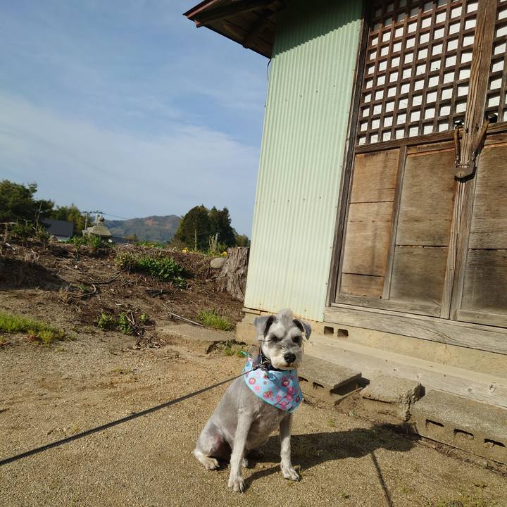 89004876 fed7 4c54 abc3 b6f968cfd096 1776555126783