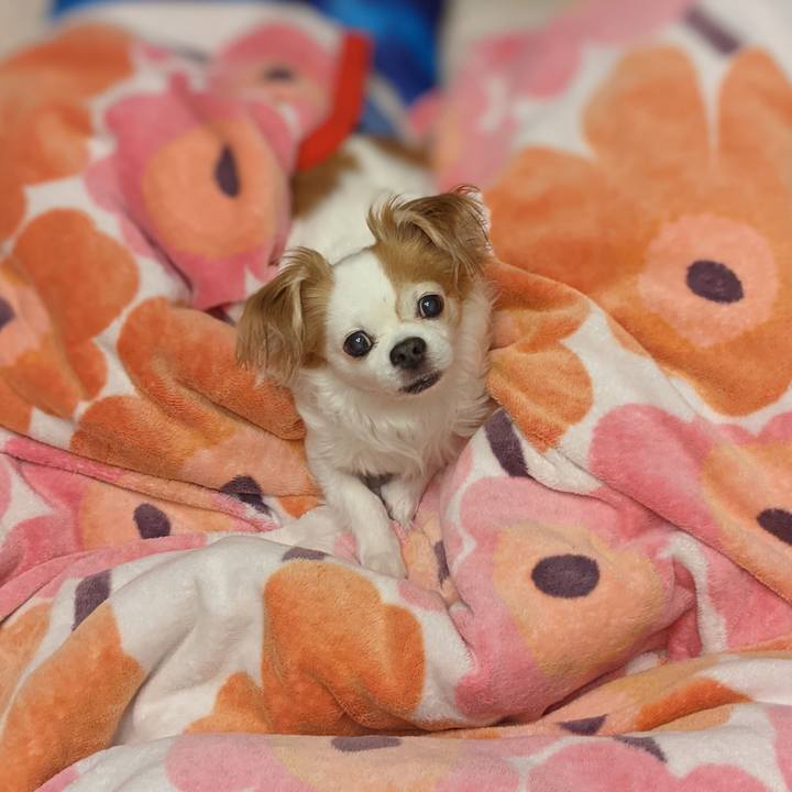 89007680 569d 455f aef1 e683bd7b0a29 1615591428136