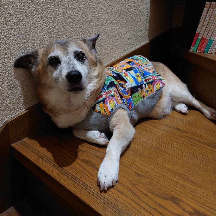 890099fa dd04 45c6 81dd 140ac2cc3398 1686195856500