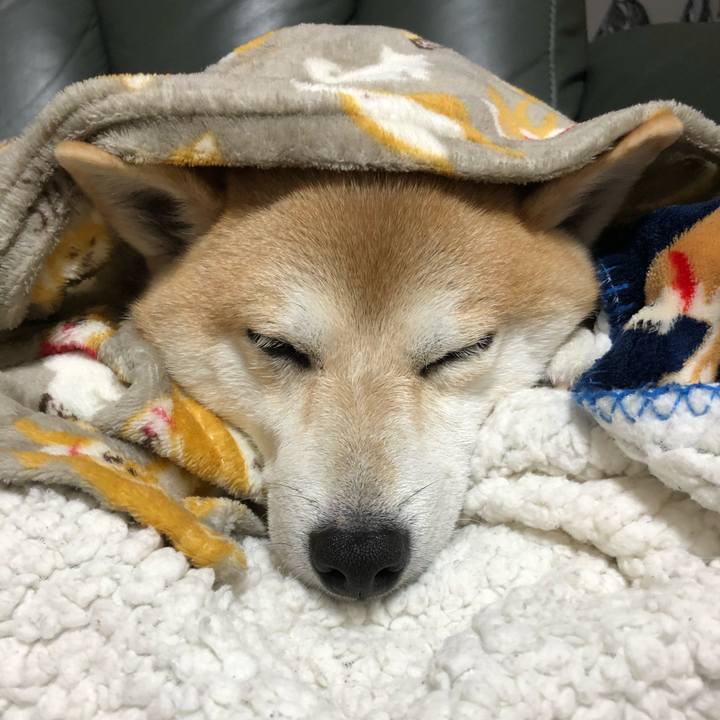 8900da7a a579 42c3 884f 7a51495ae31e 1602159524508