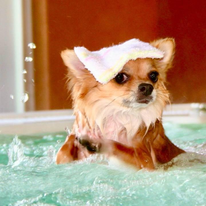 8900ecc3 3f9d 404c b8fa 32356907086a 1764128890854