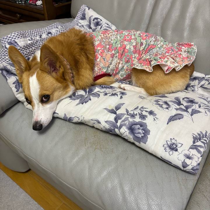 89013f37 3a81 4000 8700 034f3727964d 1760366316093