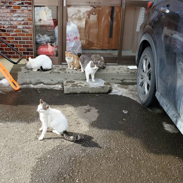 890161ff 94b9 4758 8304 14c20a3b256c 1708785650171