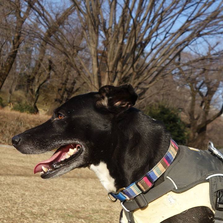 890186f6 a422 4a52 bab0 6166eab09b5b 1646097088557