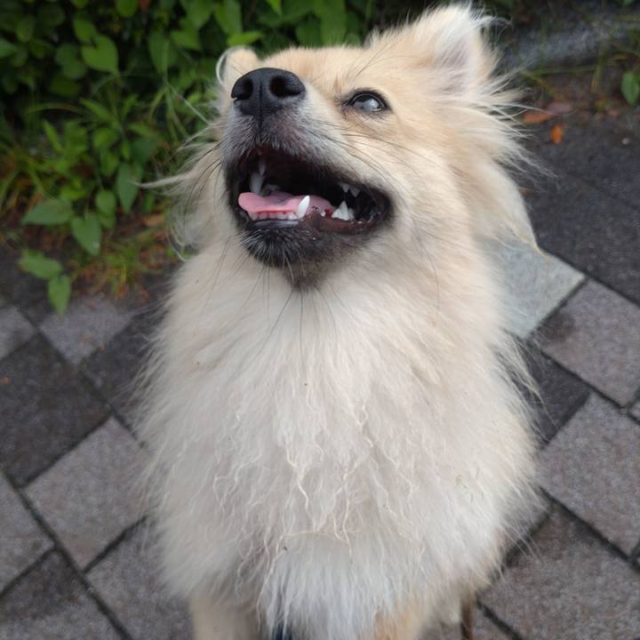 8901901d e2ba 4dff 8bf4 6e97021af27b 1750895491850