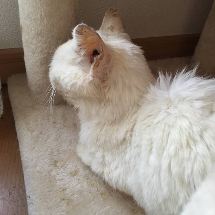 8901a4eb 2820 423e b837 8d51bec5379f 1520842546209