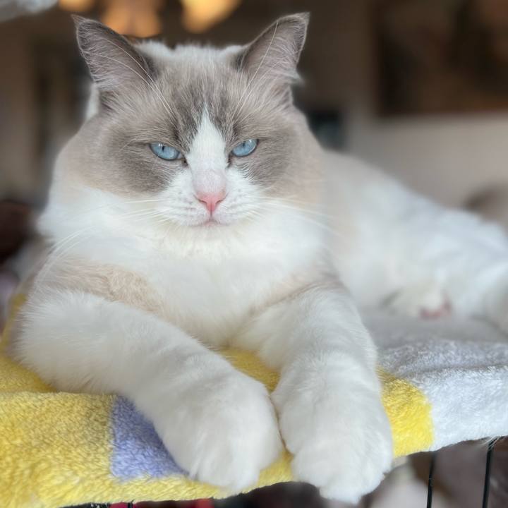 8901a5bb 27c2 4e94 8098 00eda48cbcdf 1662765911261