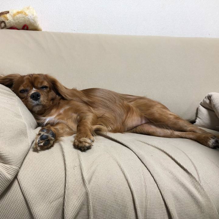 8901a6f6 ad02 446a 9cb7 7435c48183c3 1541419745706