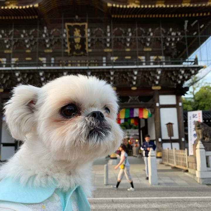 89020387 232c 444a b587 fa09215024a6 1683280124650