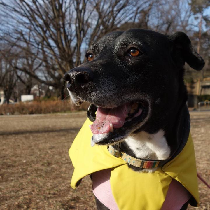 890207f4 7523 4019 8f71 e325f125a670 1739322356851