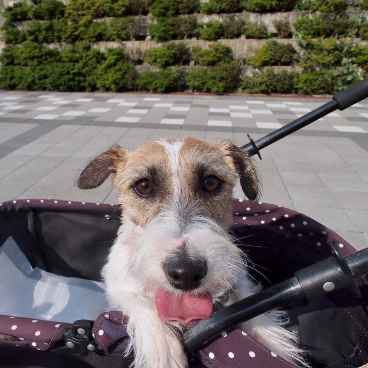 89020cac 3572 4b35 af65 9485e63a8a56 1604066505868