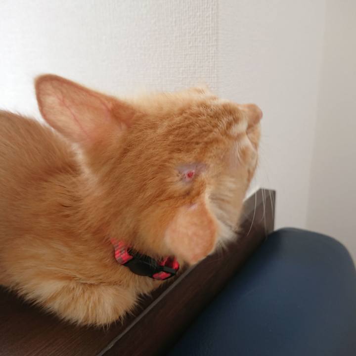 89022daf e093 4dfc b711 1eafaf44c24a 1628476548543