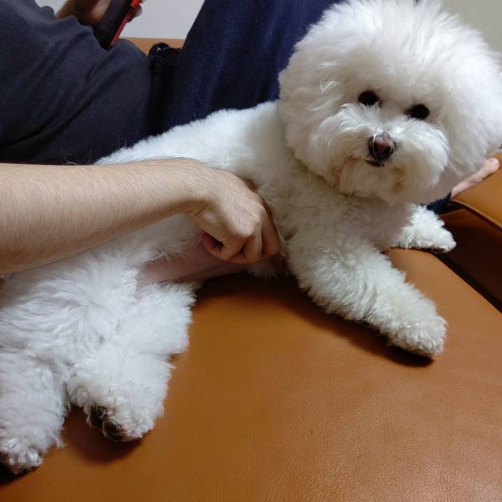 89028950 9d7e 433e b587 b9d1c3e75dbf 1619869437210