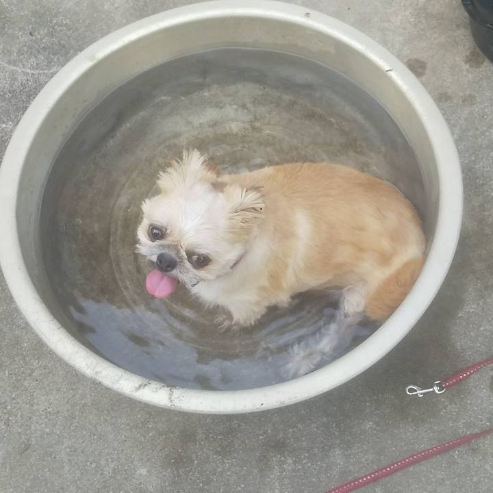 8902c51a a9bd 4608 901c 86073d906bb1 1753878200315