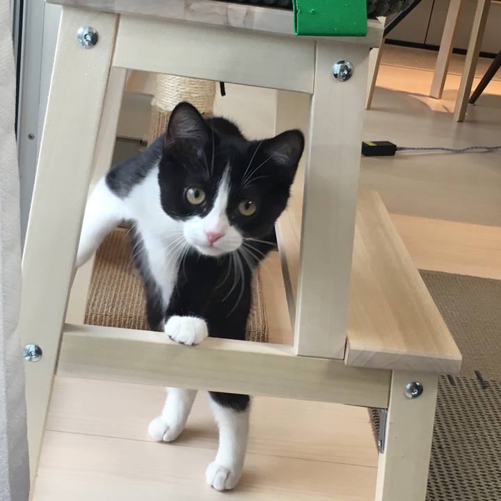 8902df9e e1bf 4ccd 8fac 46129689982d 1528855413208