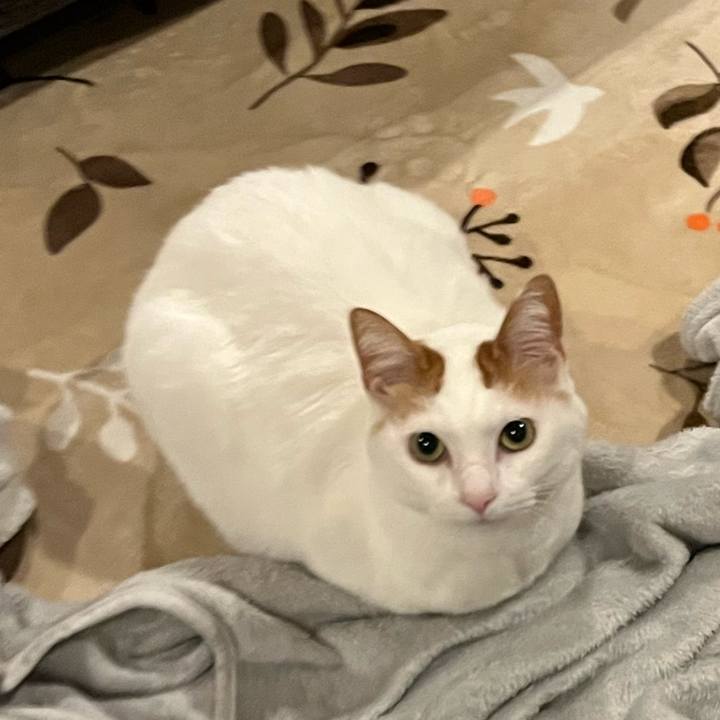 89032afd 8432 4935 a47c 3423aced927a 1769781059400