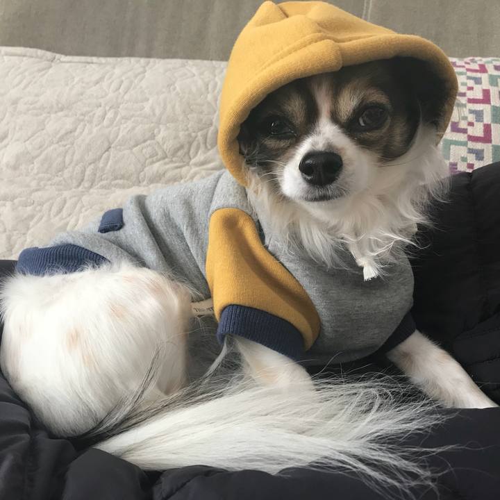 89036aa4 bfcd 4b9d 8659 46e808f3a12a 1513916468205