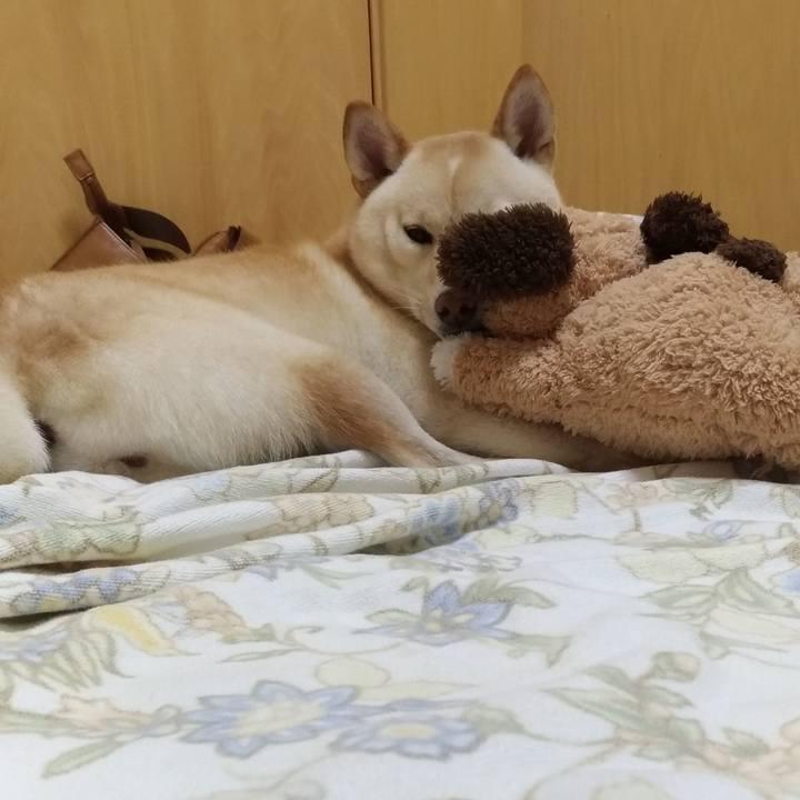 89038b48 5721 4290 b33e bf993c007493 1537272467782