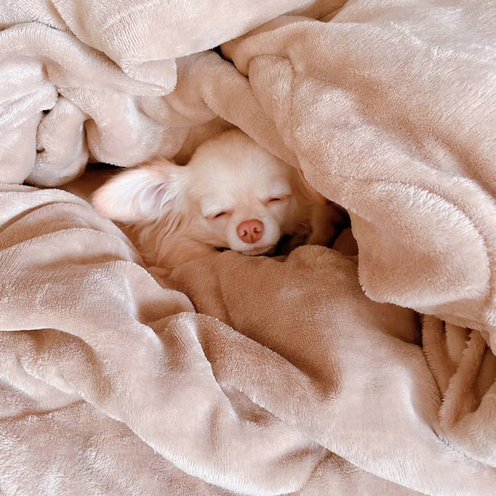 89039506 c063 436f 9ec8 83005656df6e 1662519683214